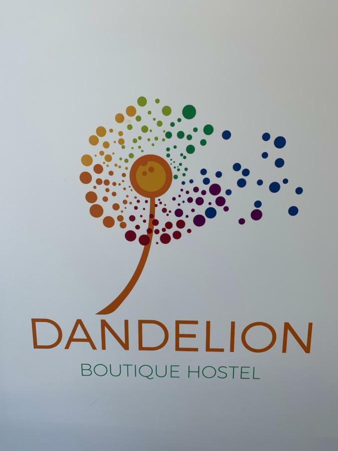 بيت شباب Dandelion زادار المظهر الخارجي الصورة