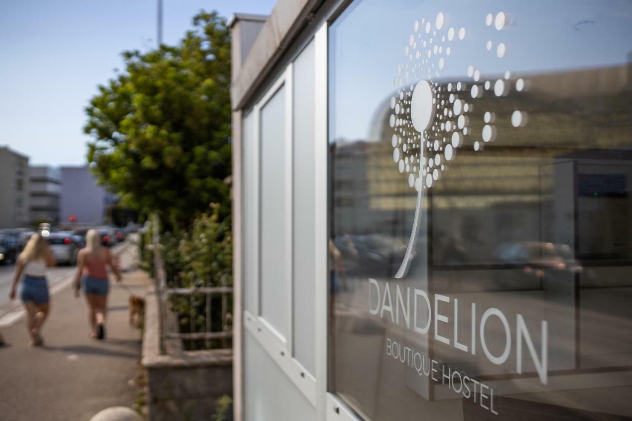 بيت شباب Dandelion زادار المظهر الخارجي الصورة